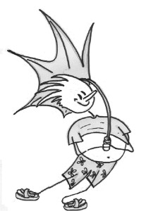 windy